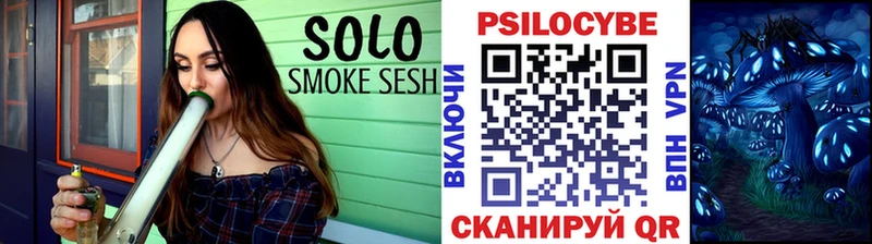 купить  цена  Каменск-Шахтинский  Псилоцибиновые грибы Psilocybine cubensis 