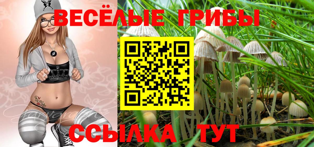 Каменск-Шахтинский  Псилоцибиновые грибы Cubensis  Вход с VPN 